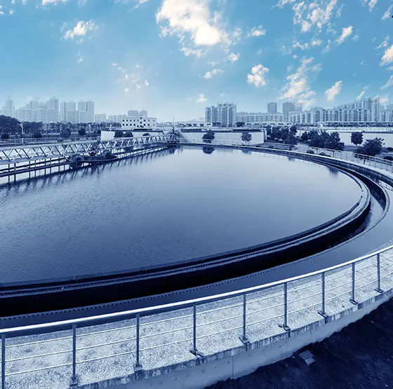 Psa oxygeni generator application